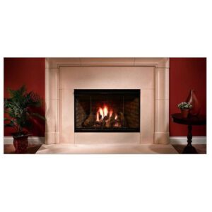 Fireplace with plants and decorative table.