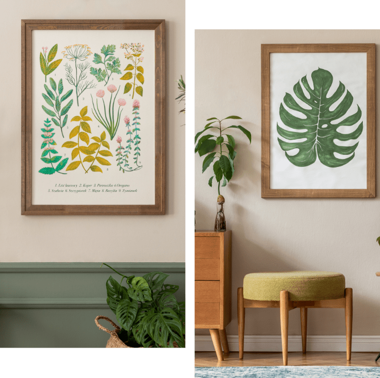 Decor Decor